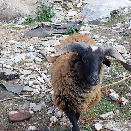فيلا Maria Tsomou Theologos  المظهر الخارجي الصورة