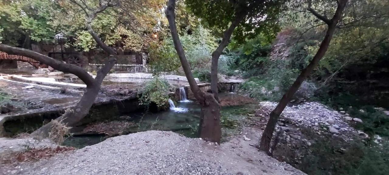 فيلا Maria Tsomou Theologos  المظهر الخارجي الصورة
